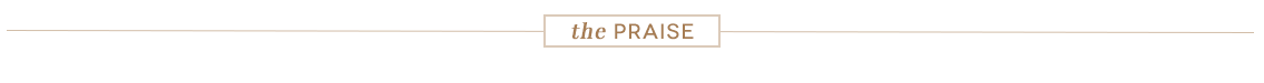 Praise-Divider